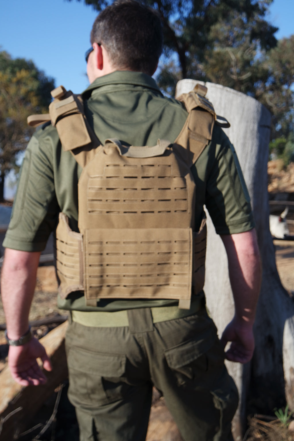 Z86 Plate carrier -Coyote/Black/Ranger green