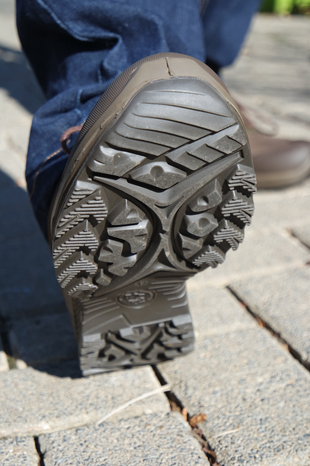 Haix Nature GTX LO Brown
